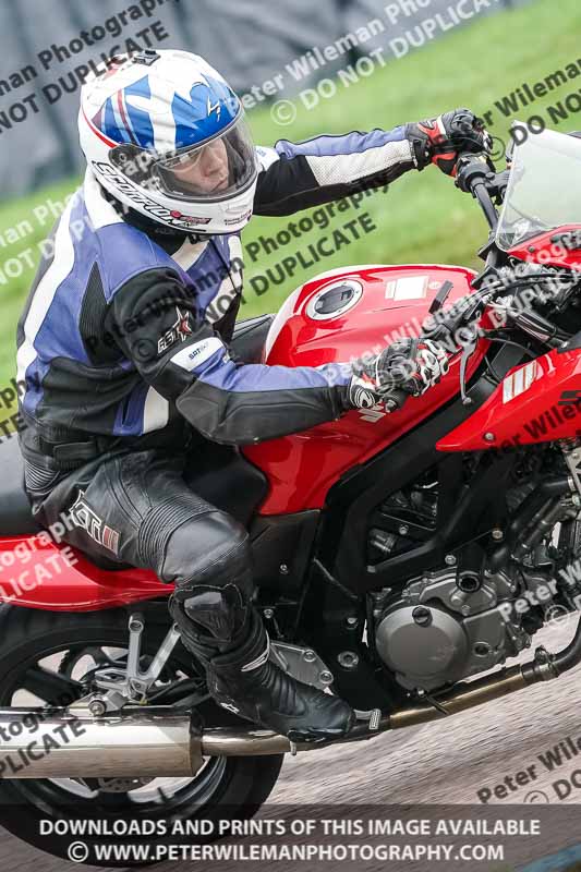 enduro digital images;event digital images;eventdigitalimages;lydden hill;lydden no limits trackday;lydden photographs;lydden trackday photographs;no limits trackdays;peter wileman photography;racing digital images;trackday digital images;trackday photos